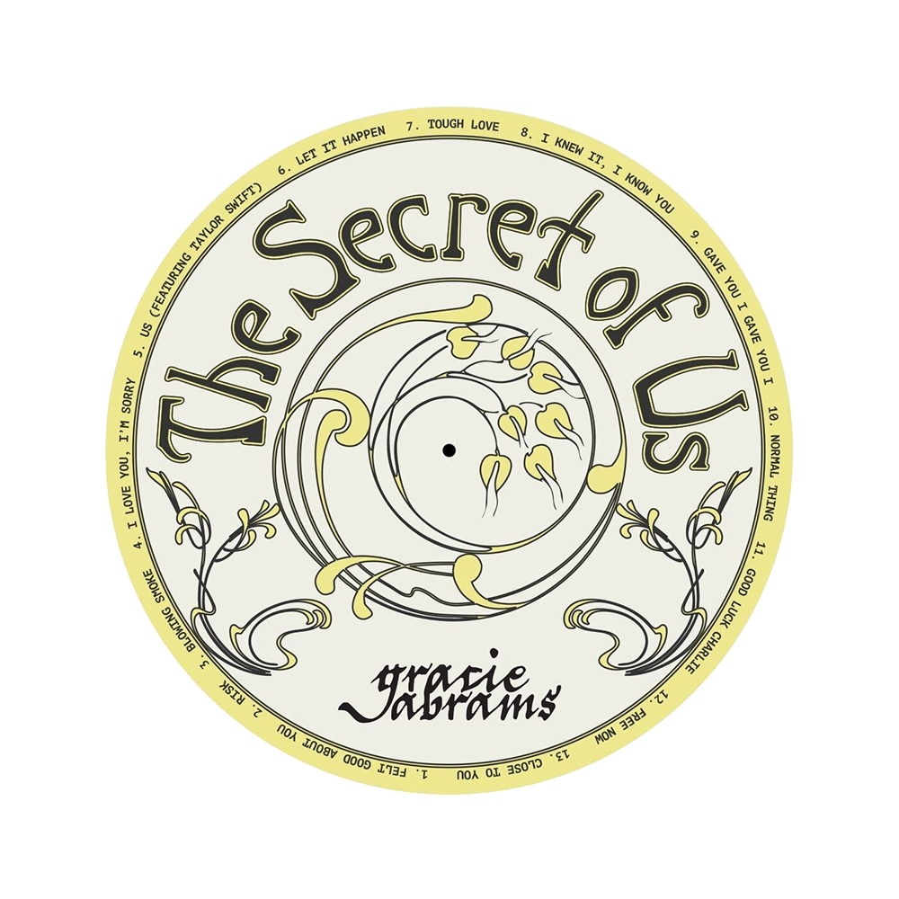 The Secret of Us Vinyl Slip-Mat